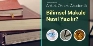 Anket Makalesi Nasıl Yazılır
