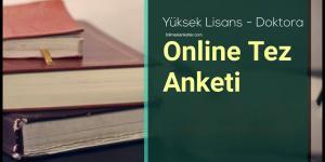 online tez anketi